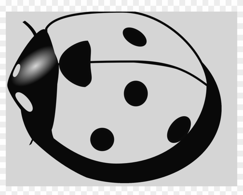 Ladybug Clipart Black And White Bug Clip Art Free Black - Clip Art #1302932