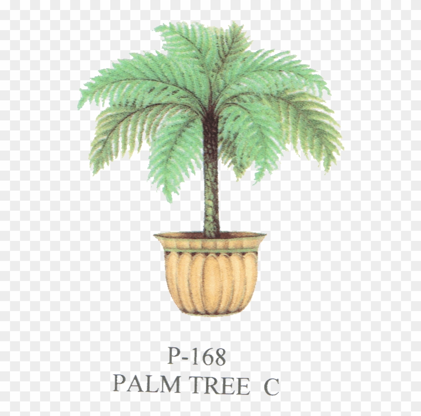 Palm Tree, Trees, Plants, Pottery - Flowerpot #1302942
