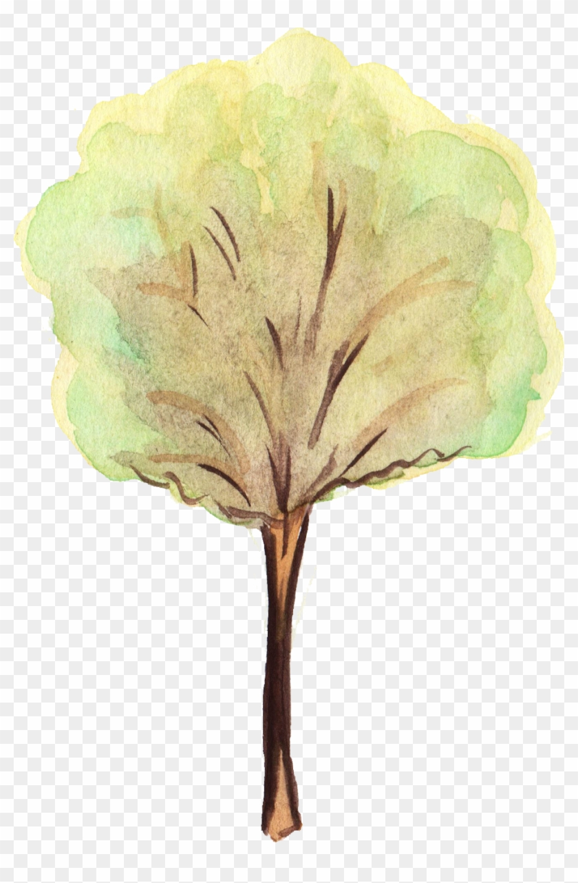 Free Download - Watercolor Tree Png - Free Transparent Png Clipart Images Download