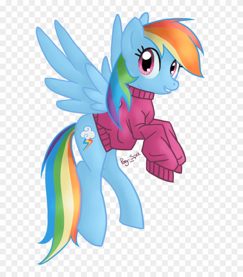 Shetland Pony Pony Rarity Rainbow Dash Pinkie Pie Applejack - Mlp Pony In Sweater #1303000