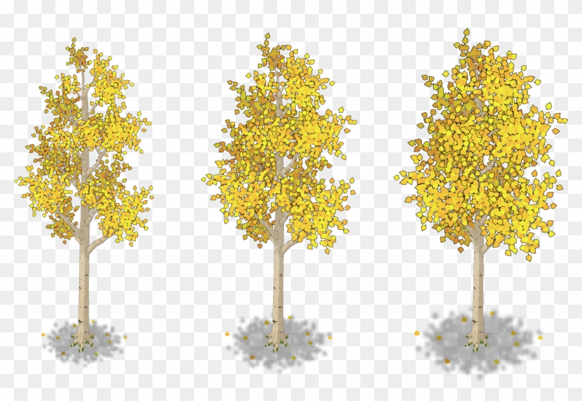 Initially, I Intended For The Trees To Be Animated - Plane-tree Family #1303005