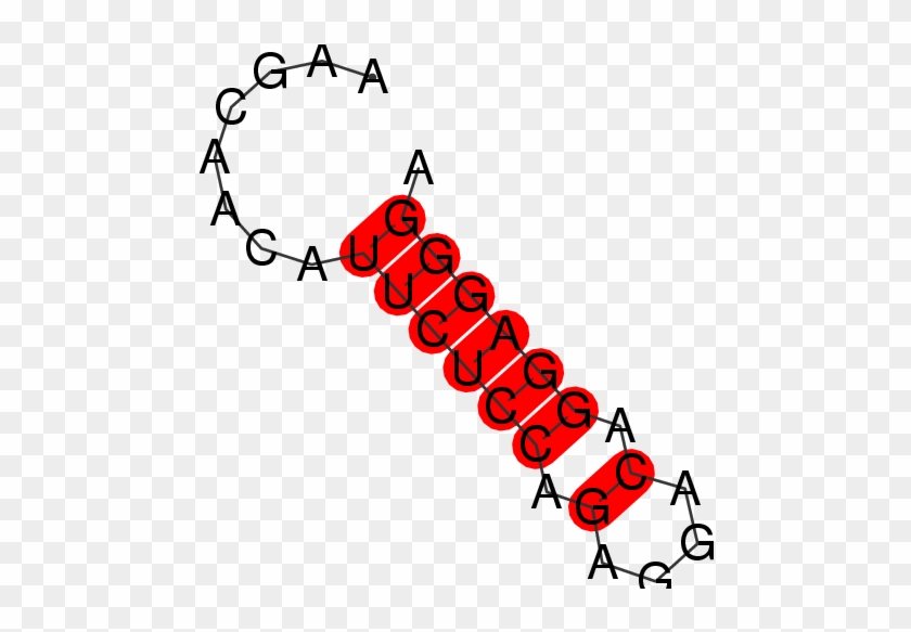 Frnadb Secondary Structures For Pir31218 Gene - Frnadb Secondary Structures For Pir31218 Gene #1303164
