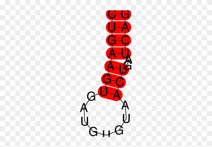 Mrna/cdna For Mir573 Gene - Mrna/cdna For Mir573 Gene #1303166