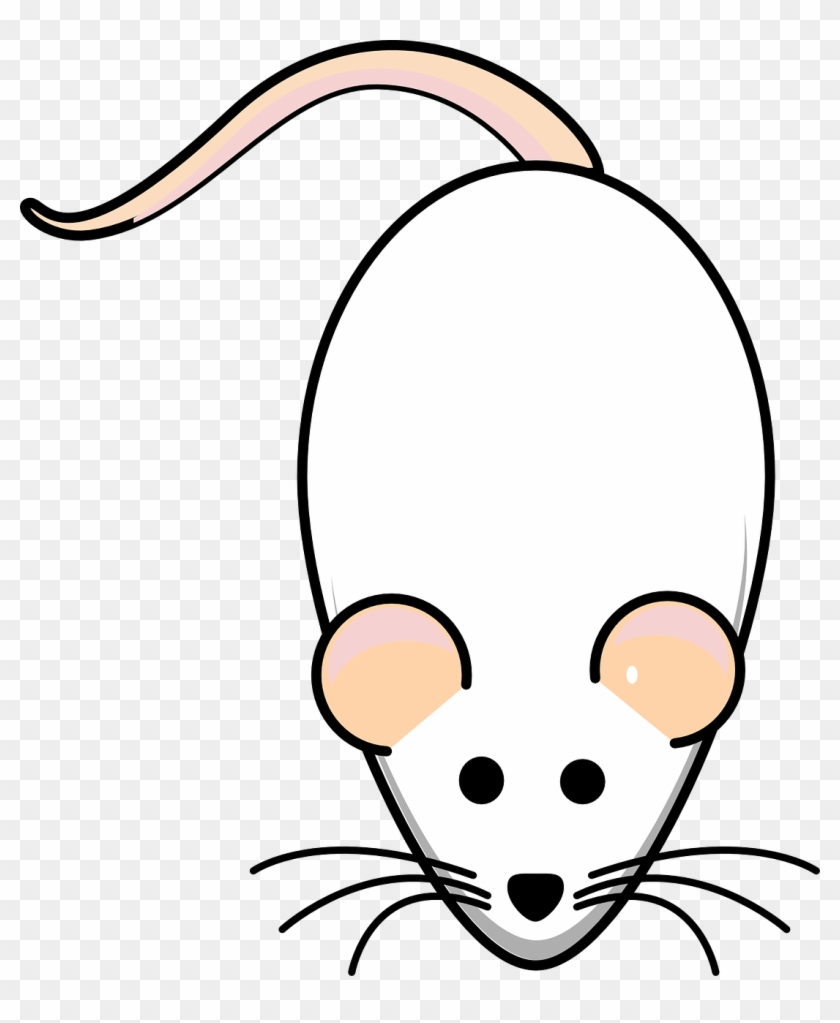 Using The Tools Of Genetic Engineering, Scientists - Gambar Animasi Tikus Putih #1303173