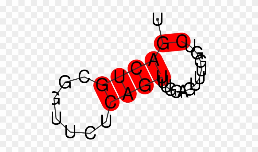 Frnadb Secondary Structures For Pir41091 Gene - Frnadb Secondary Structures For Pir41091 Gene #1303189