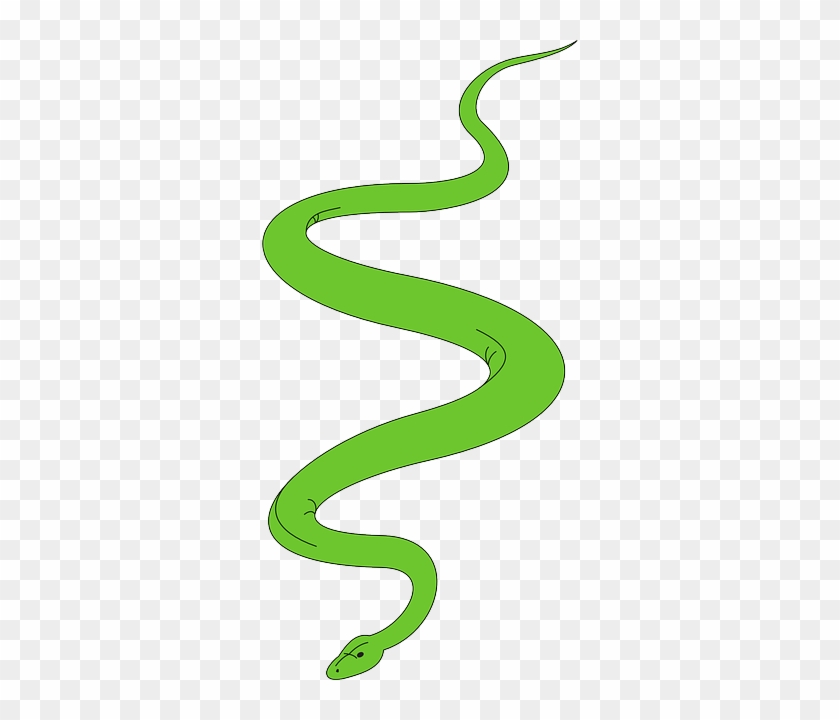 Slither Snake, Green, Garden, Art, Reptile, Slithering, - Cartoon Snake For Snakes And Ladders #1303937