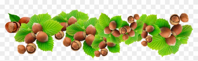 Изображение Для Плейкаста - Lychee #1303990