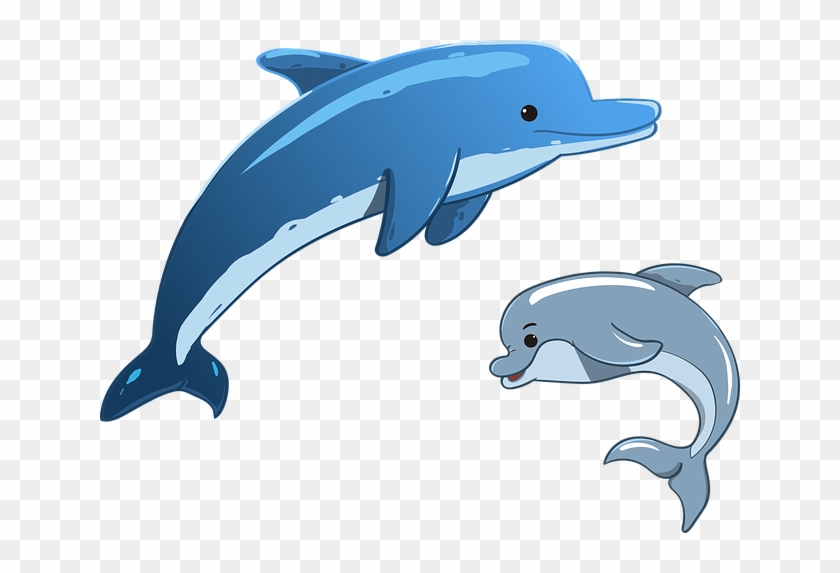 Dolphin, Sea, Animals, Mother And Child, Mammals - Cartoon Dolphin #1304003