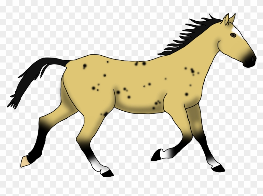 Buckskin Horse Stallion Price - Mane #1304493