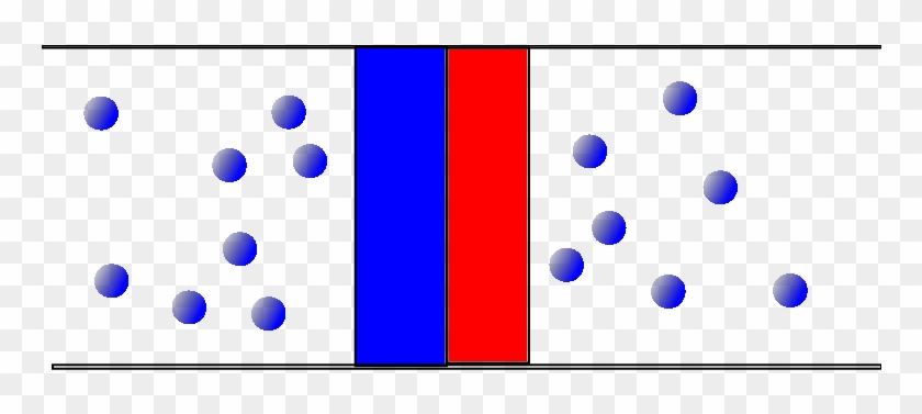The Asymmetric Granular Piston In A Bath Of Thermalized - Circle #1305166