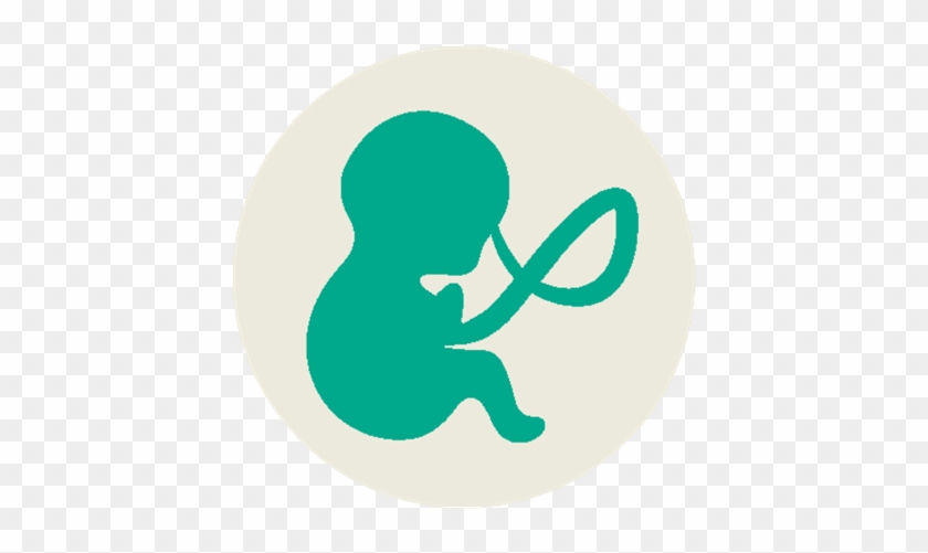 Pregnancy Breastfeeding Infant Alcohol - Pregnancy #1305182