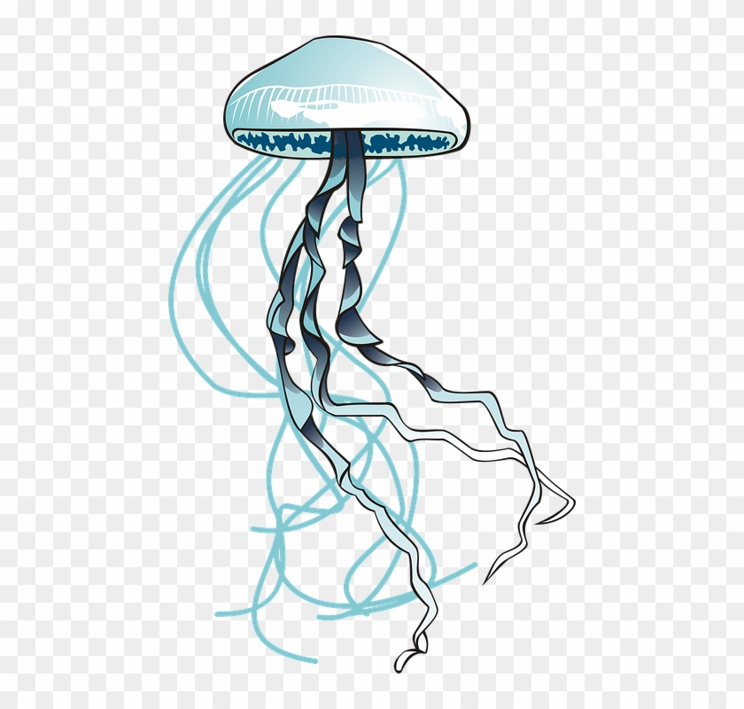Jellyfish, Sea, Ocean, Water, Filaments, Urticant - Jellyfish #1305415