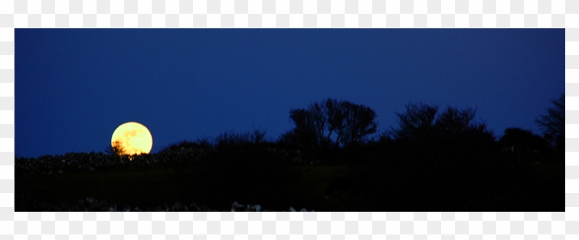 Silhouette - Moon #1305558