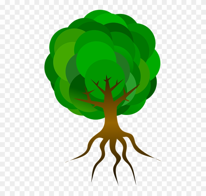 Tree Cartoon Png 28, Buy Clip Art - Cartoon Tree With Roots #1305655