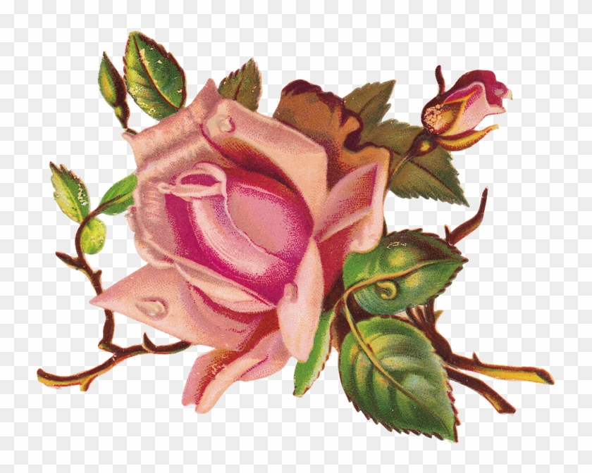 Vintage Floral Label - One Pink Rose Wall Clock #1305702