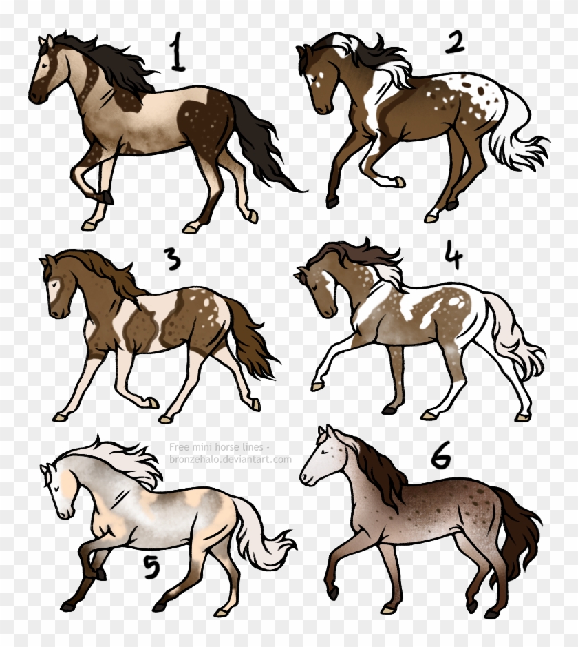 20 Point Horse Adopts [3/6] Open By Theadoptartist - Horse #1305859
