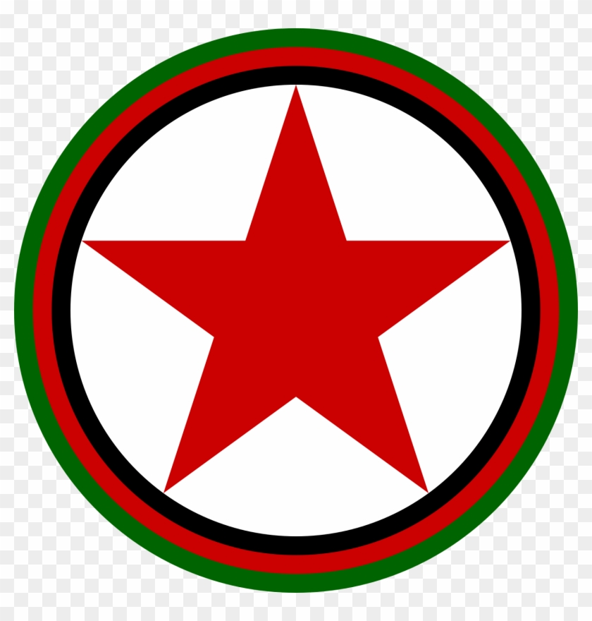 Roundel Of The Afghan Air Force - Logos With Black Star #1305967