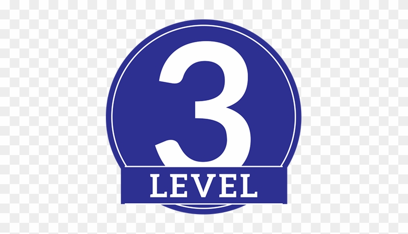 Level 2 8