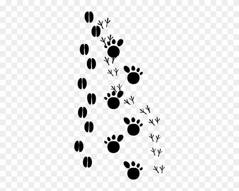 Deer Tracks Clipart - Animal Tracks Clip Art #1306851