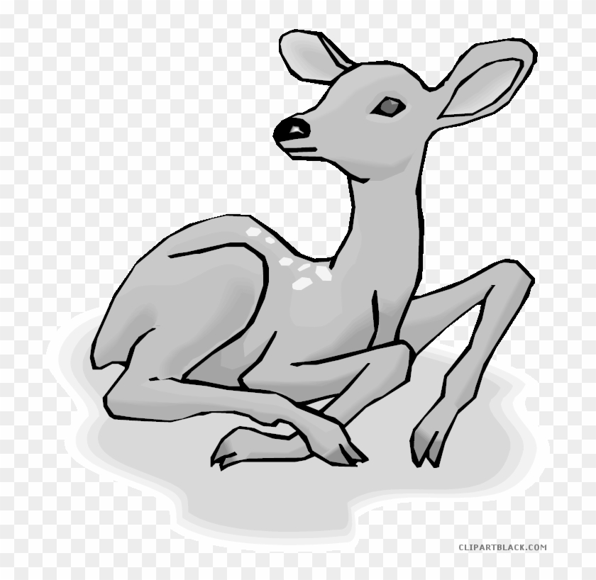 Baby Deer Animal Free Black White Clipart Images Clipartblack - Near And Dear Christmas Wishes Card #1306862