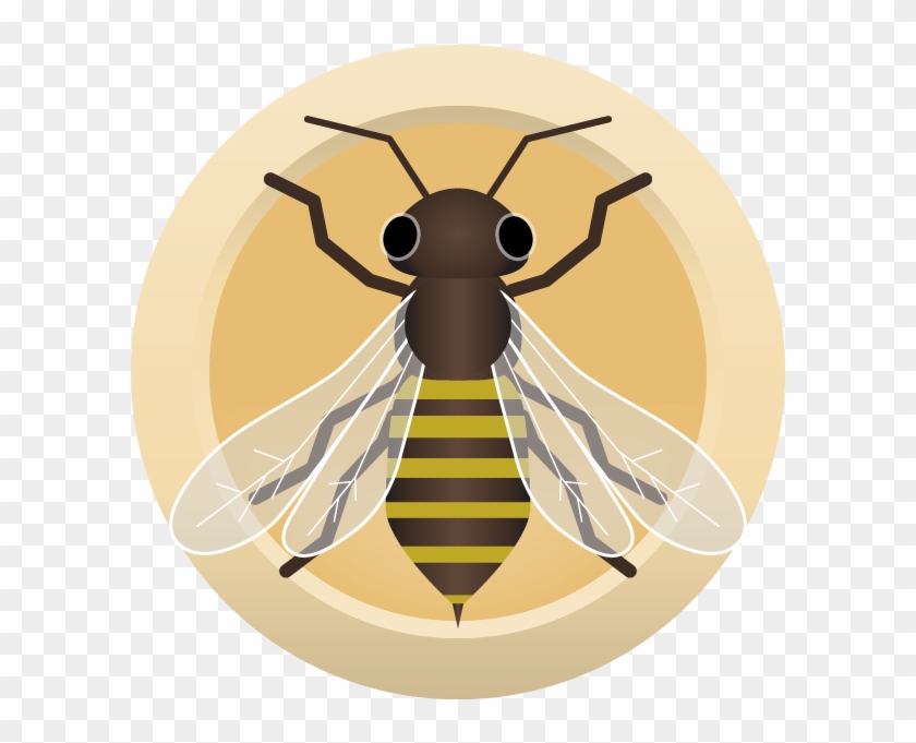Ahs Honey Blonde - Honeybee #1307052