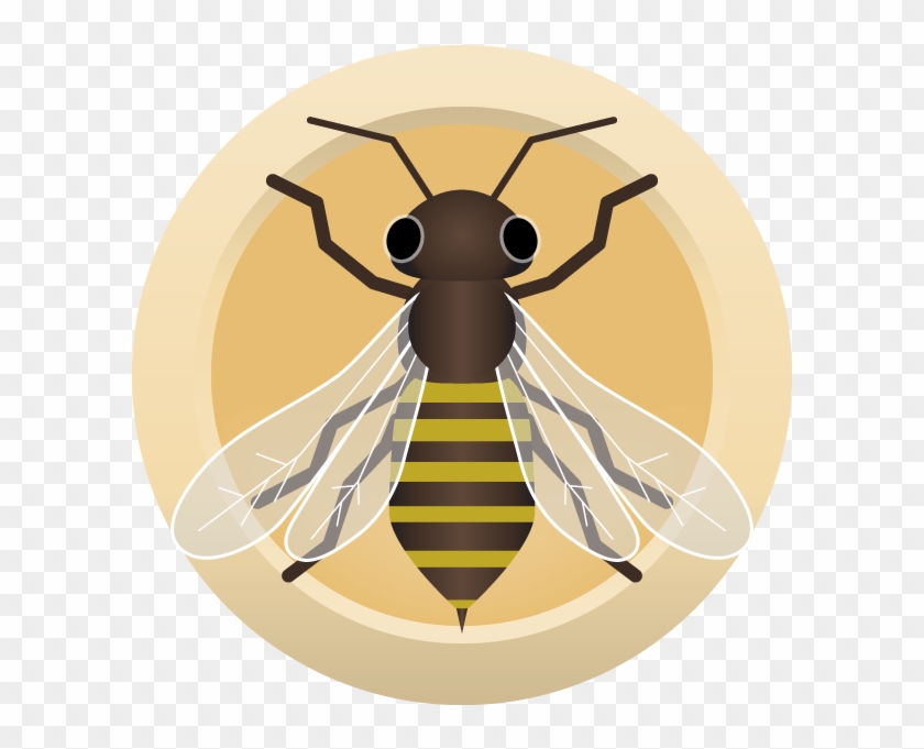 Ahs Honey Blonde - Honeybee #1307052