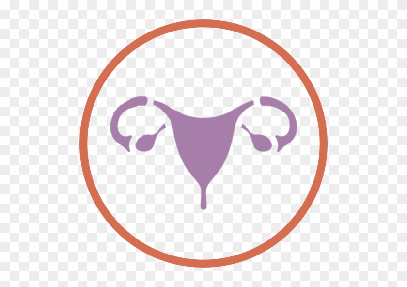 Obstetrics & Gynecology - Gynaecologist Png #1307193