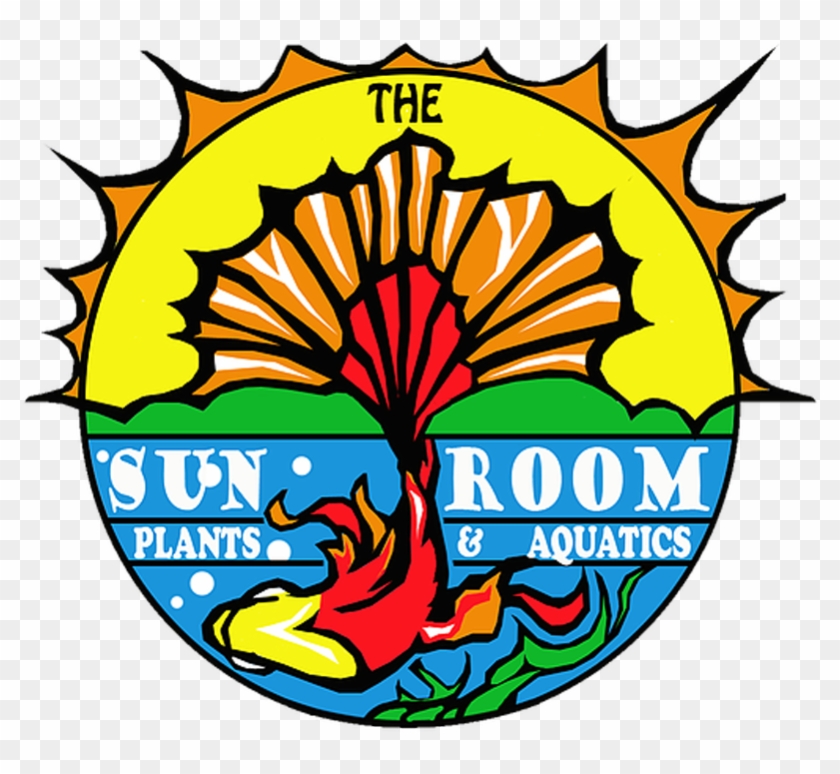 The Sunroom Plants And Aquatics - Sunroom #1308148