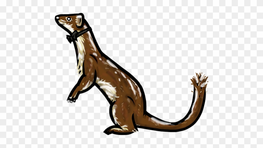 Weasel- Bowtie By Whodrewthis - Weasel Cartoon No Background #1308356