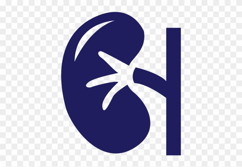 Create A Fundraiser To Celebrate A Transplant Anniversary - Create A Fundraiser To Celebrate A Transplant Anniversary #1308755