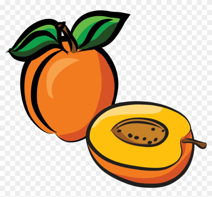 Apricot - Sketch #1309137