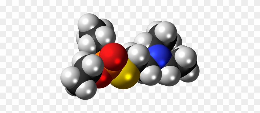 File To Be Shared As A View Only File With Disabled - Molecule #1309321