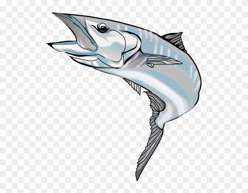 Atlantic Blue Marlin #1309404