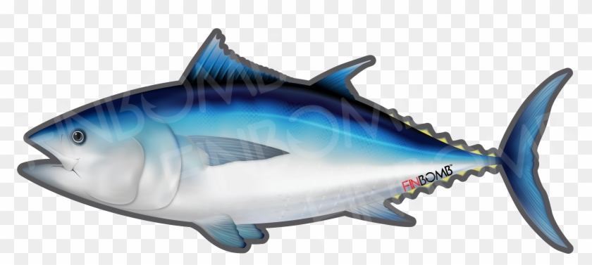 Fish, Image, Price - Bluefin Tuna Transparent Background #1309431