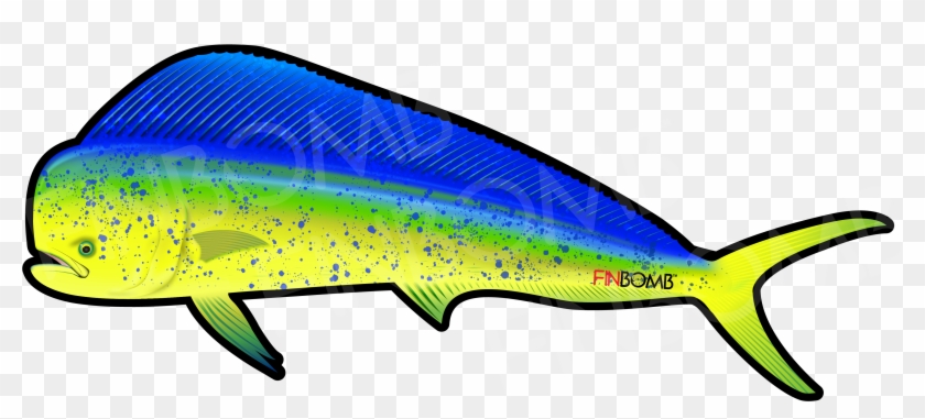 00 12 Inch $10 - 00 12 Inch $10 #1309439