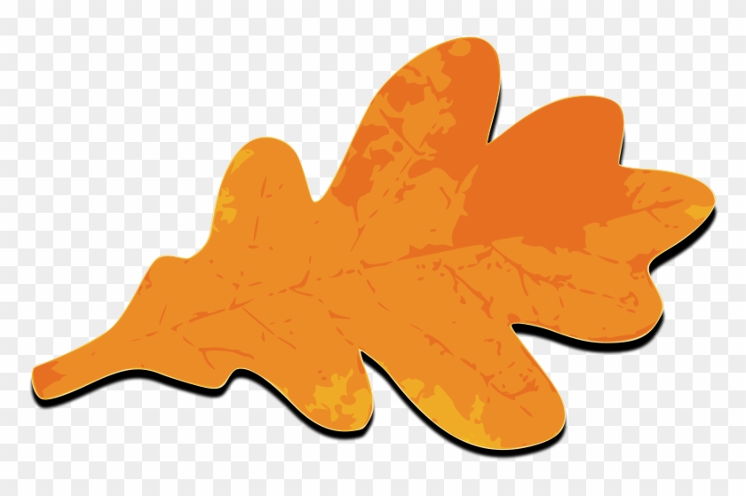 Fall Leafs Orange Png Images - Fall Oak Leaf Clipart #27061