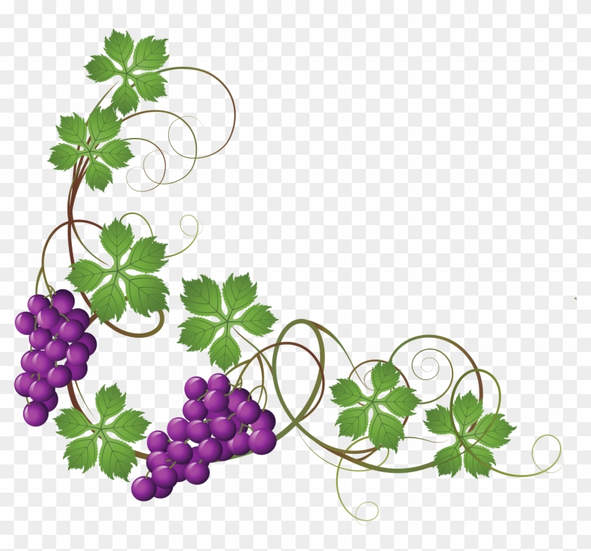 Common Grape Vine Wine Grape Leaves Clip Art - Grape Vine Transparent Background #27109
