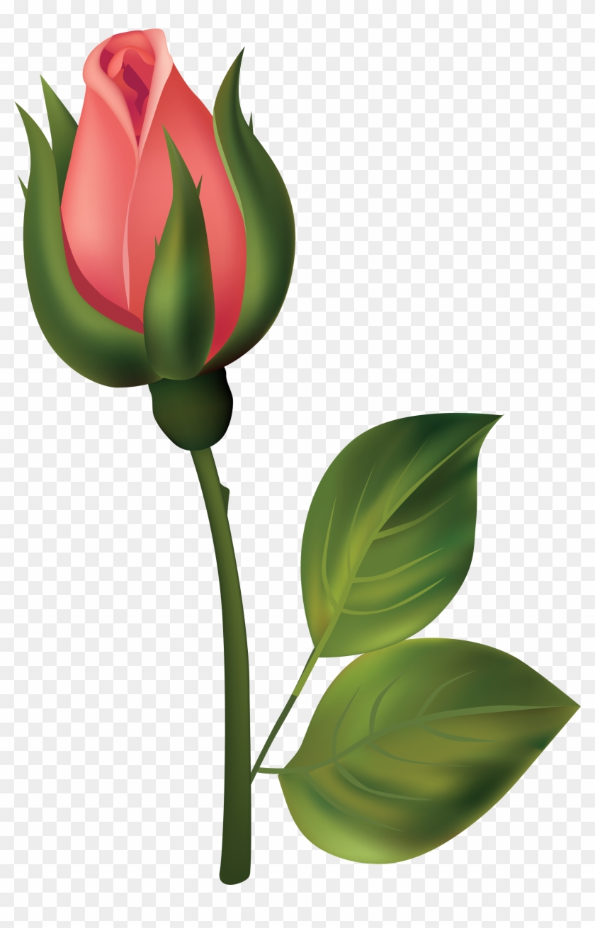 Stem Red Rose Bud Png Clipart - Rose Buds Clip Art #27122