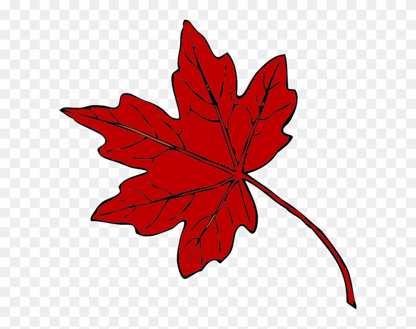 Red Maple Leaf Clip Art At Clker - Maple Holistics Sage Shampoo For Anti Dandruff #27129