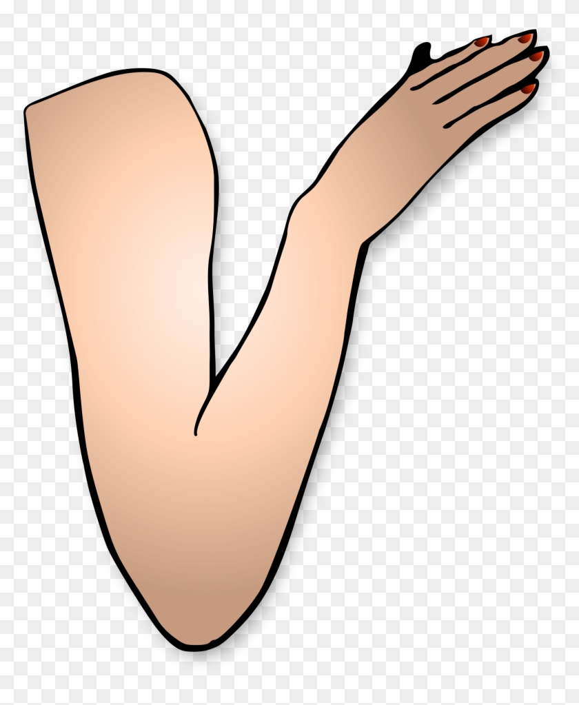 Fight Clipart Arm - Arm Clipart #27659