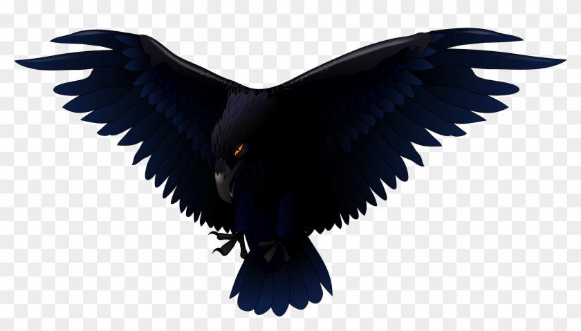 Raven Clip Art - Raven Vector #27848