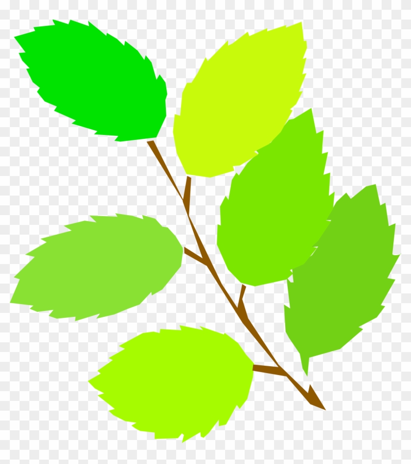 Big Image - Spring Leaves Clipart #27891