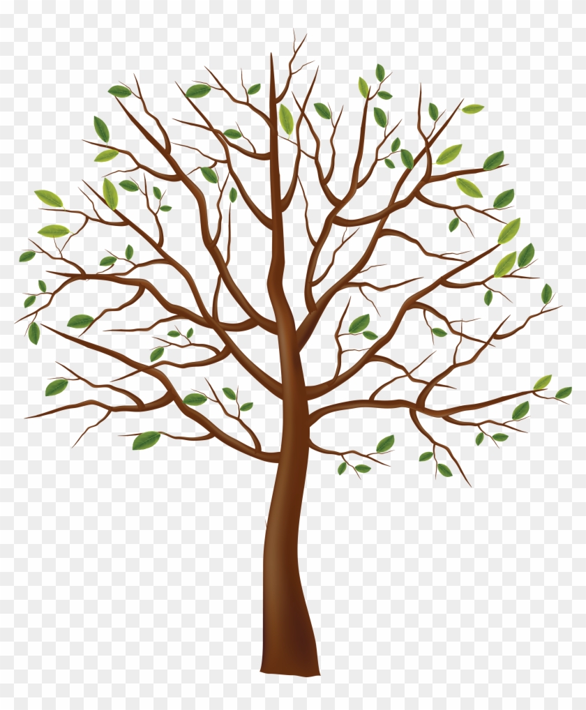 Tree Png Image - Tree Drawing Transparent Background #27909