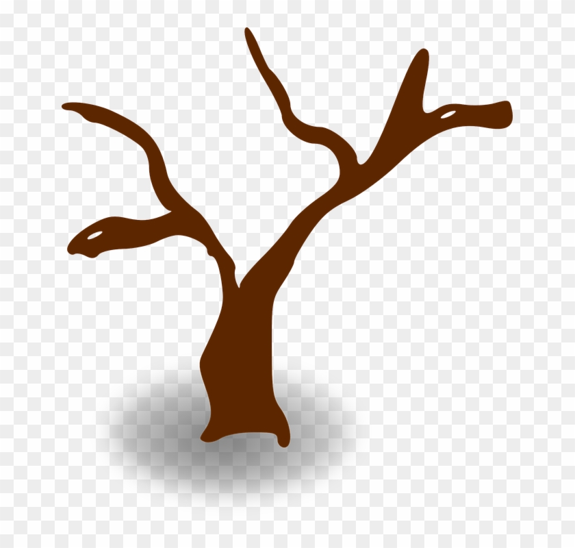 Cliparts Stick Tree - Tree Clip Art #27913