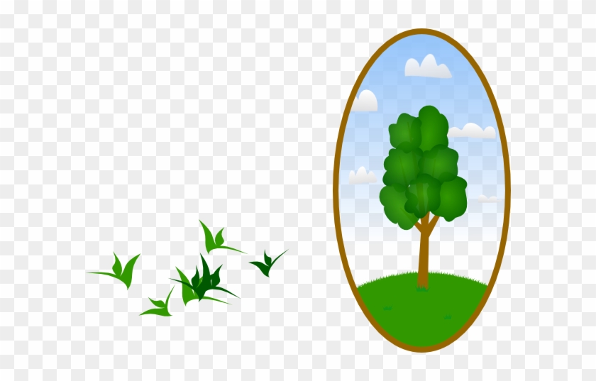 Landscaping Clipart Tree #28145