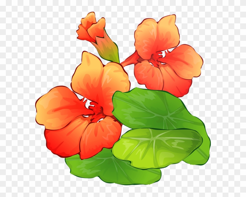 Summer Clip Art - Free Summer Flowers Clipart #28261