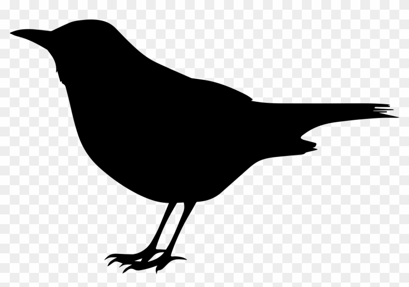 Blackbird Silhouette Clip Art Of A Black - Black Bird Clipart Black And White #28286