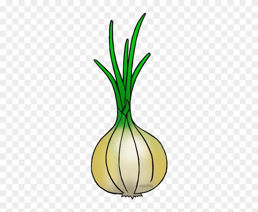 Utah State Vegetable - Texas State Vegetable #28377