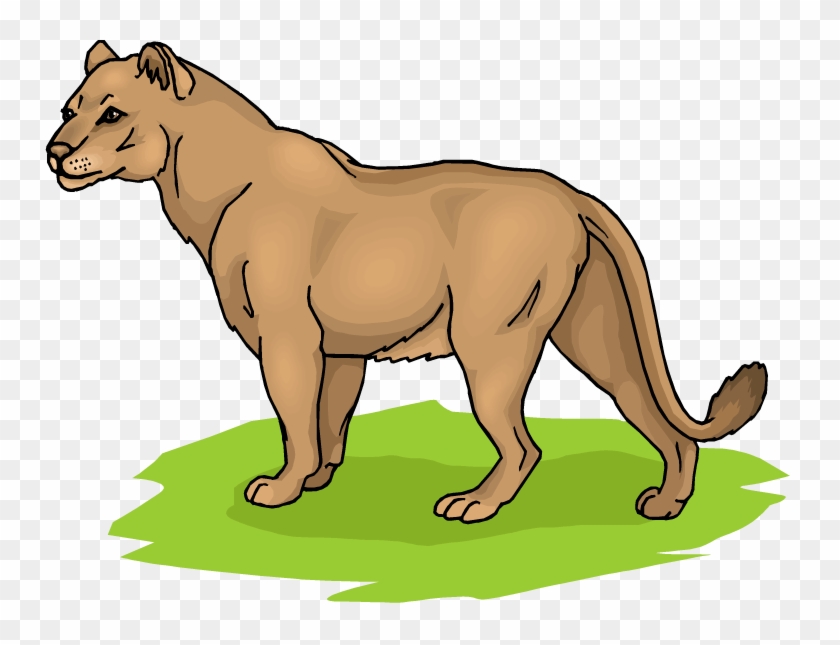 Girl Lion Cliparts - Lioness Clipart #28471