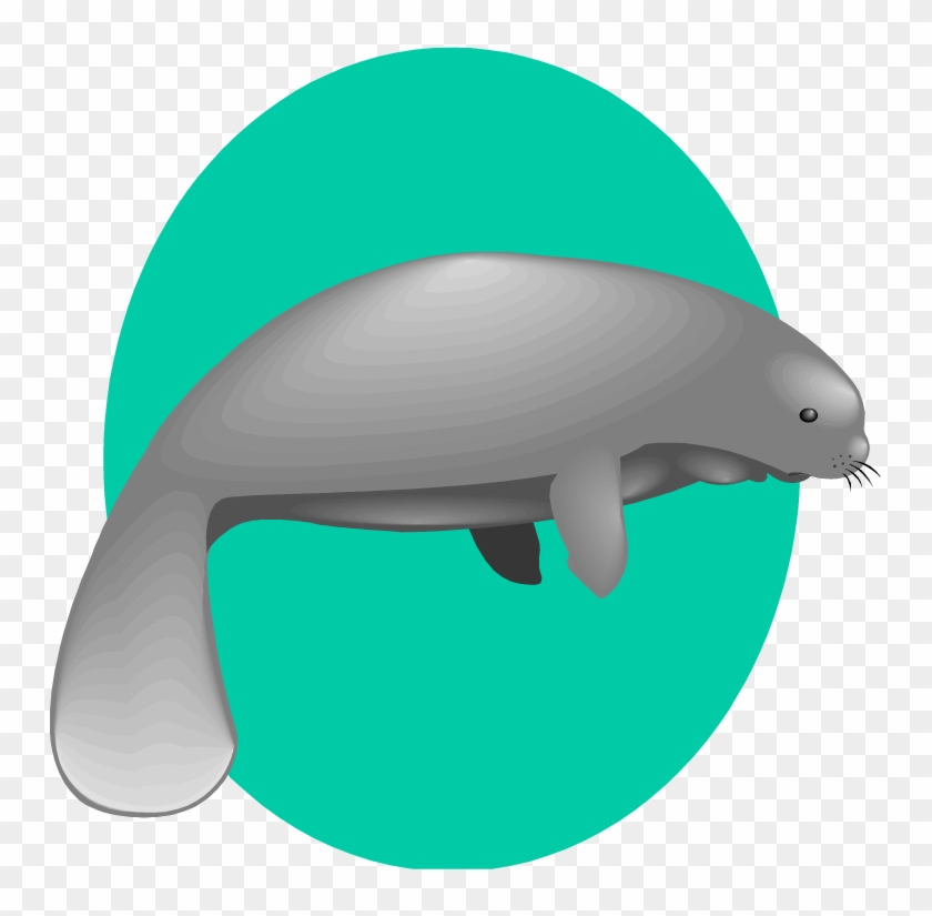 Manatee Clip Art - Dugong Clipart Png #28530